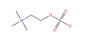 Cholinesulfuric acid